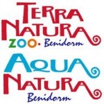 Ofertas y Descuentos